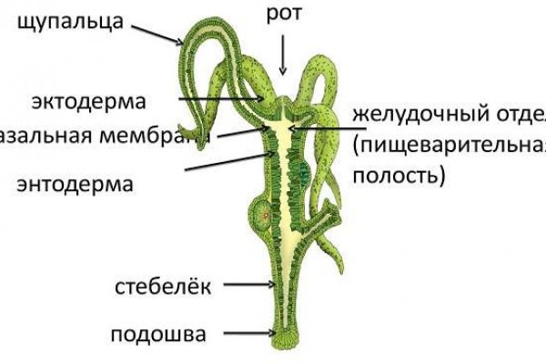 Через какой браузер заходить на кракен