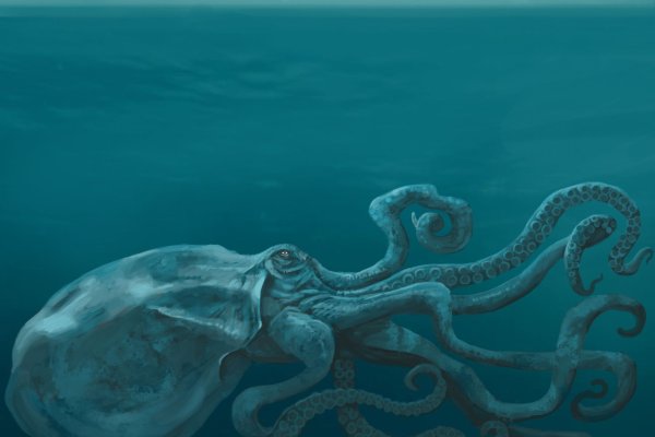 Kraken ем