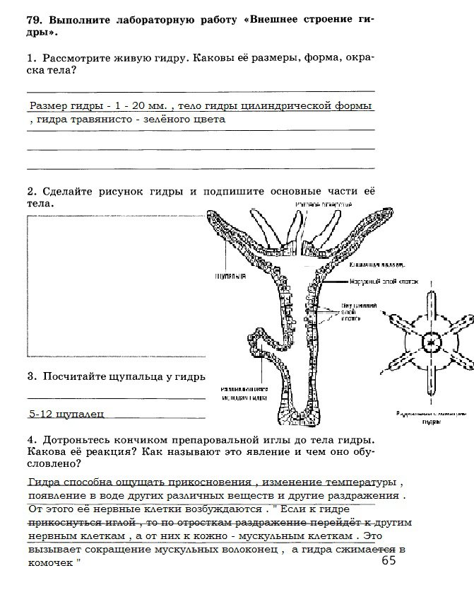 Вход в кракен даркнет