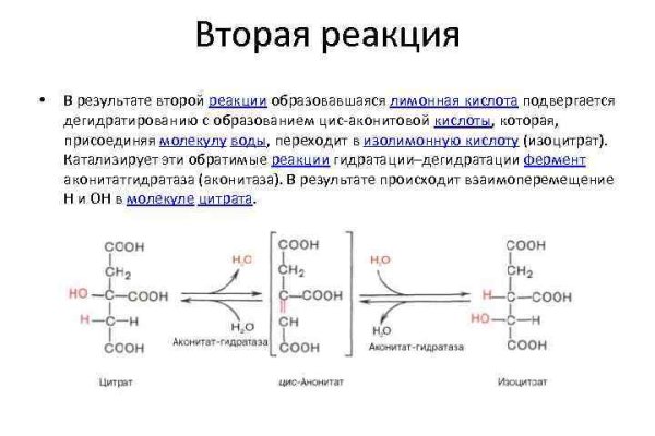 Кракен даркнет что известно