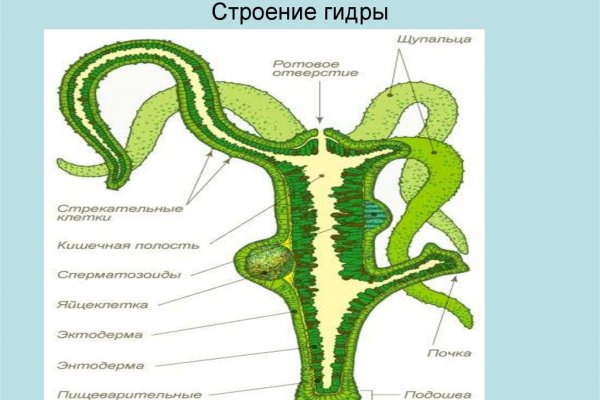 Kraken в россии