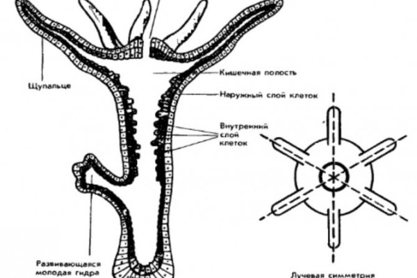 Kra32.cc